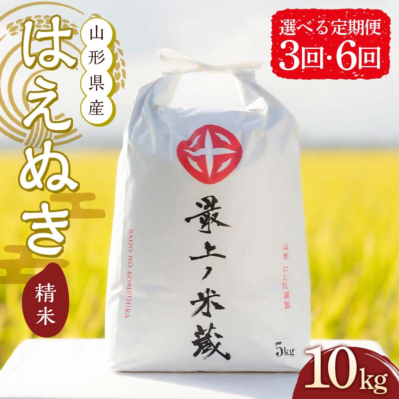 【ふるさと納税】 令和7年産 先行予約 《選べる 定期便 3ヶ月 / 6ヶ月》 山形県産 はえぬき 精米 10kg (5kg×2)【最上ノ米蔵】 F3S-2488var