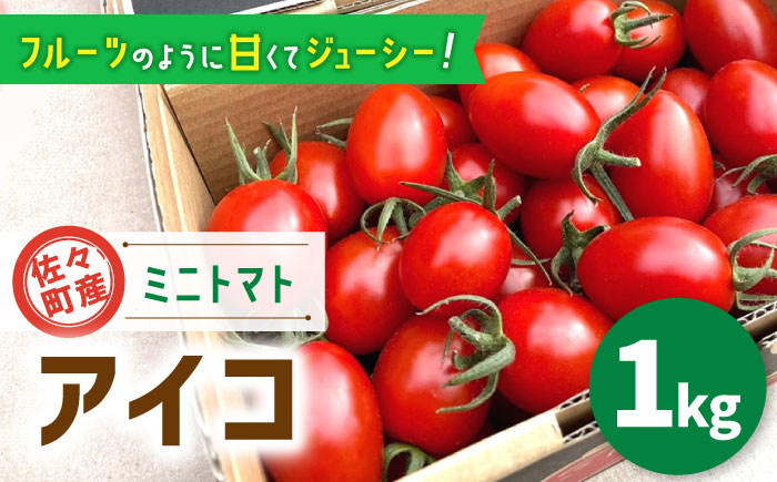 
            【先行予約】【甘くてジューシー】ミニトマト アイコ 1.0kg【C&T farm】 [QBG001] トマト とまと トマト フルーツトマト 野菜 人気 贈答 ギフト プレゼント
          