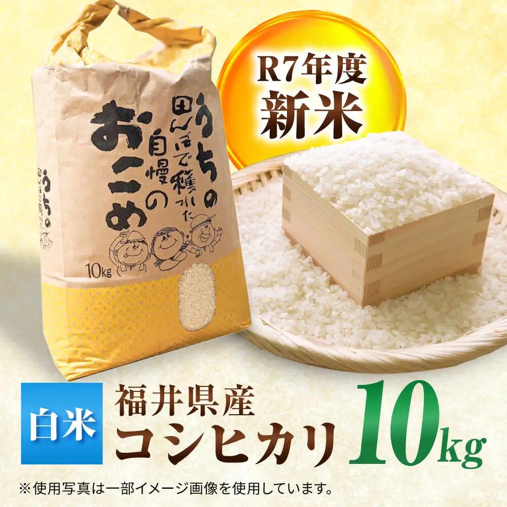 【先行予約 /10月以降配送】 【令和8年産】福井県産 こしひかり 米10kg 白米 新米 / 小浜市 / Grow Farm [BFDI002] 
