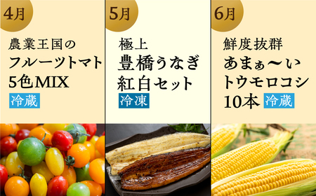 【農産物コース】穂の国の恵み どうまい 定期便 全12回 Cコース 農産物 ( 餃子 むき えび うなぎ おでん 鴨鍋 かも鍋 トマト とうもろこし シャインマスカット 巨峰 ぶどう メロン ジェラー
