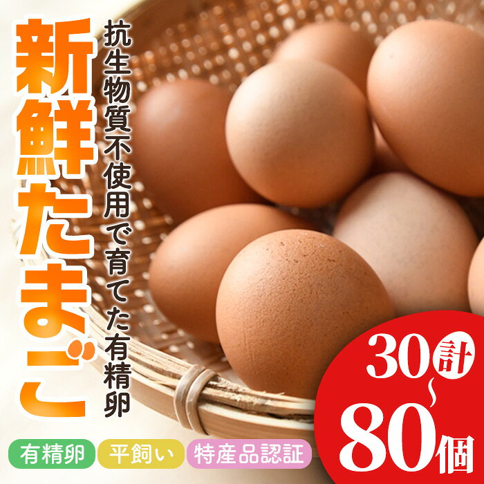 【ふるさと納税】 ＜内容量が選べる！＞ 石黒たまご園の平飼い有精卵 30～80個入り たまご タマゴ 鶏卵 玉子 卵 常温 茨城県 普段使い用 パック包装 平飼い 30個 60個 80個 【石黒たまご園】【ho1622】【ho1623】【ho1624】