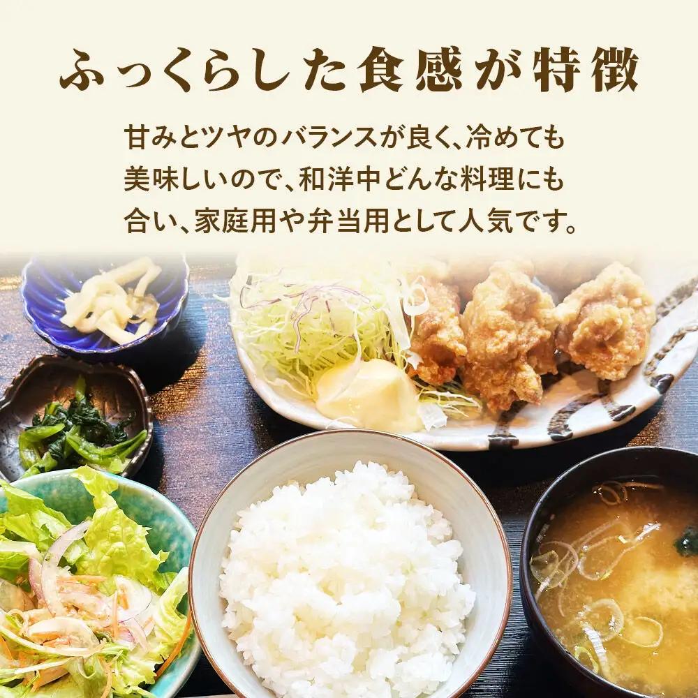 令和7年産 宮城県産天女ひとめぼれ 白米 5kg