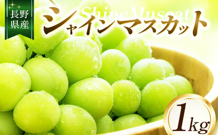 シャインマスカット1㎏ 【2026年先行予約】 | ちのふぁーむ