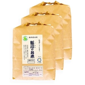 【令和6年産】能登のコシヒカリ　飯川のお米　9kg(精米3kg×3袋)【1086153】