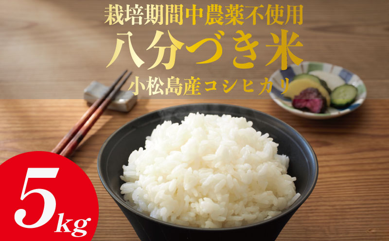 令和7年産 米 八分づき米 10kg 栽培期間中農薬不使用 米 玄米 お米 コメ こしひかり コシヒカリ ※ okome kome おむすび おにぎり 徳島県産 精米 徳島県 小松島市