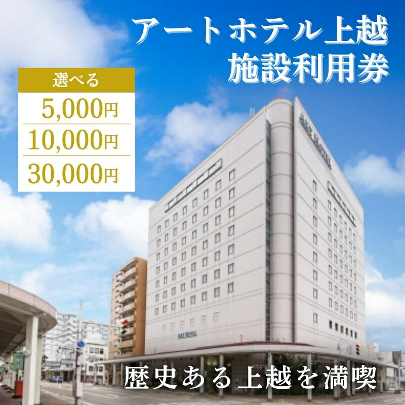 【ふるさと納税】アートホテル上越 施設利用券 金額が選べる アートホテル上越 施設利用券 食事 観光 宿泊 旅行 新潟県 上越市 ホテル　お届け：寄付ご入金確認後、準備が出来次第発送いたします