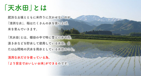 27-05Z【12ヶ月連続お届け】新潟県黒川産コシヒカリ5kg【天水田】