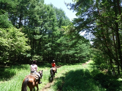 お手軽に乗馬レッスンと外乗のセットプラン 大人1名様