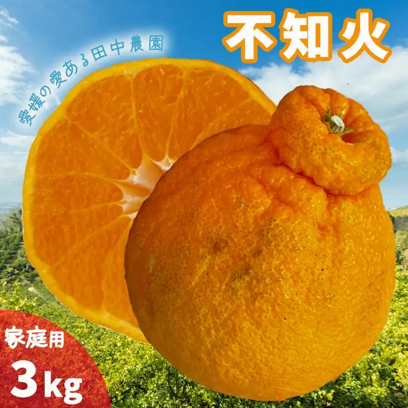 【2027年2月下旬頃から順次発送】みかん 不知火 しらぬい 約3kg 家庭用 愛媛県産 でこぽんと同品種 国産 愛媛みかん 【TNN013】