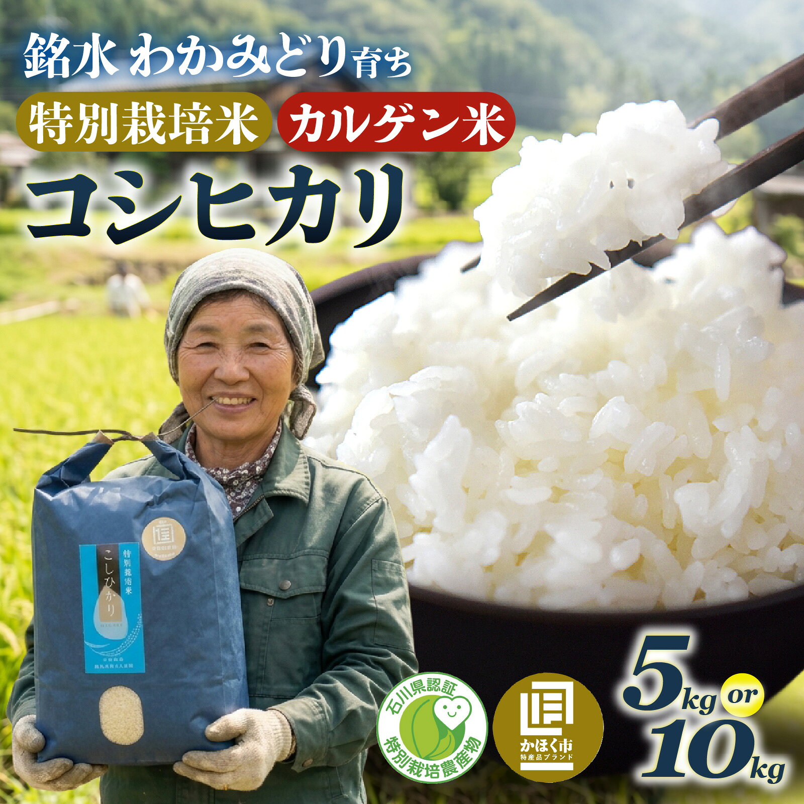 【ふるさと納税】こしひかり 5kg ～ 10kg 特別栽培米 / コシヒカリ 米 こめ コメ 白米 ご飯 5キロ 10キロ 若緑産 令和7年産 単一原料米 国産 食品 常温 お取り寄せ 送料無料