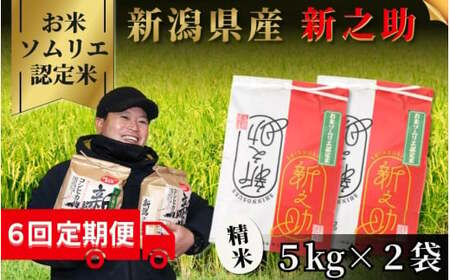 【令和6年産新米】〈6回定期便〉令和6年度産新米【お米ソムリエのお米】新之助 精米 10kg（5kg×2袋）［2024年10月中旬以降順次発送］ エバーグリーン農場