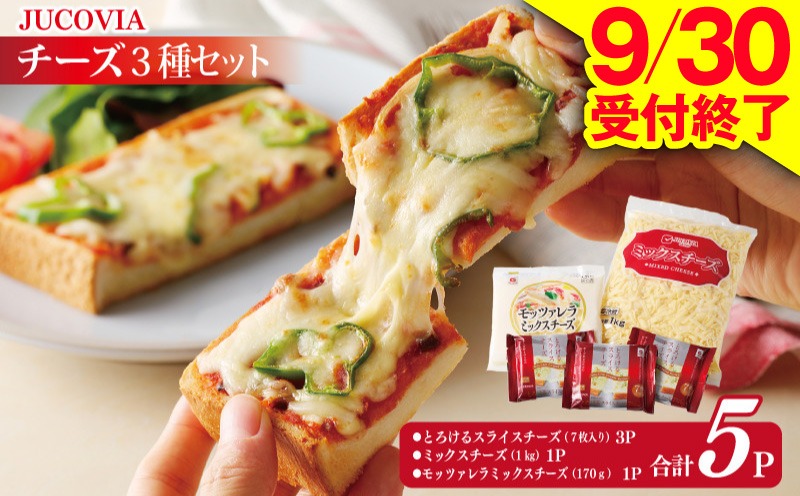 010B1637 【9/30受付終了】人気チーズ 3種セット【ムラカワチーズ 食べ比べ 普段使い 高評価 ちーず】
