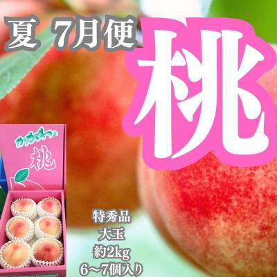 ふるさと納税 坂出市 【発送月固定定期便】四季の美味しい果物詰め　年間4回に分けてお届け!全4回 |  | 02