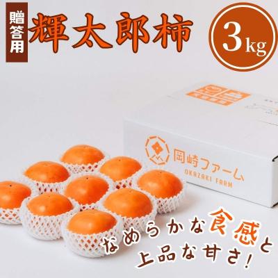 ふるさと納税 八頭町 輝太郎柿 3kg(贈答用)