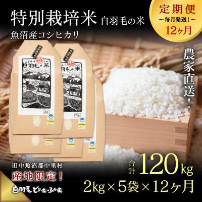 ふるさと納税 十日町市 【毎月定期便】農家直送!魚沼産コシヒカリ特別栽培 精米(2kg×5袋)全12回