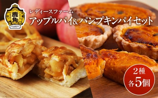 アップルパイ ＆ パンプキンパイ セット 2種 各 5個入 計 10個【レディースファーム】スイーツ お菓子 バレンタインデー ホワイトデー りんご リンゴ かぼちゃ カボチャ パンプキン パイ 家庭用 国産 お中元 お歳暮 贈り物 贈答用 グルメ ギフト 故郷 秋田 あきた 鹿角市 鹿角 送料無料