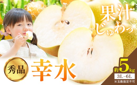梨 幸水 秀品 約5kg 3L ～ 6L 井岡農園 《8月上旬-8月下旬頃出荷予定》 栃木県 野木町 なし ナシ くだもの 果物 青果物 フルーツ