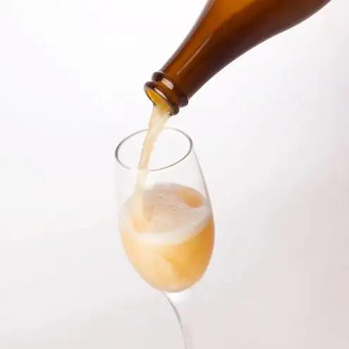 梨のお酒 2本セット お酒 発泡酒 微発泡 SDGs 廃棄梨 梨 ブルーベリー フードロス 果実酒 瓶 アルコール 柏市 千葉県