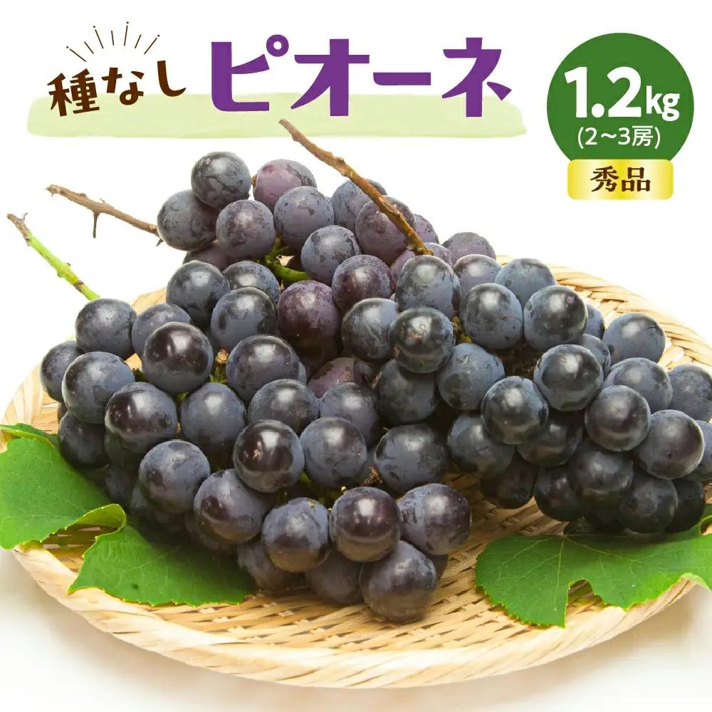 ぶどう 種なし ピオーネ 約 1.2kg 種無しぶどう