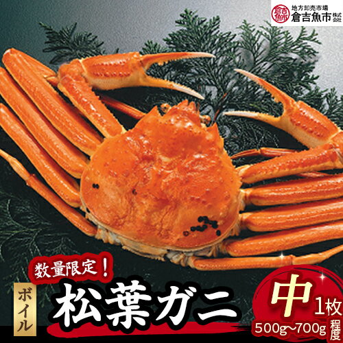 【ふるさと納税】【倉吉魚市】ボイル 松葉がに 500gから700g程度(中) 松葉ガニ 松葉蟹 ずわいがに カニ かに 蟹 かにしゃぶ 鳥取県