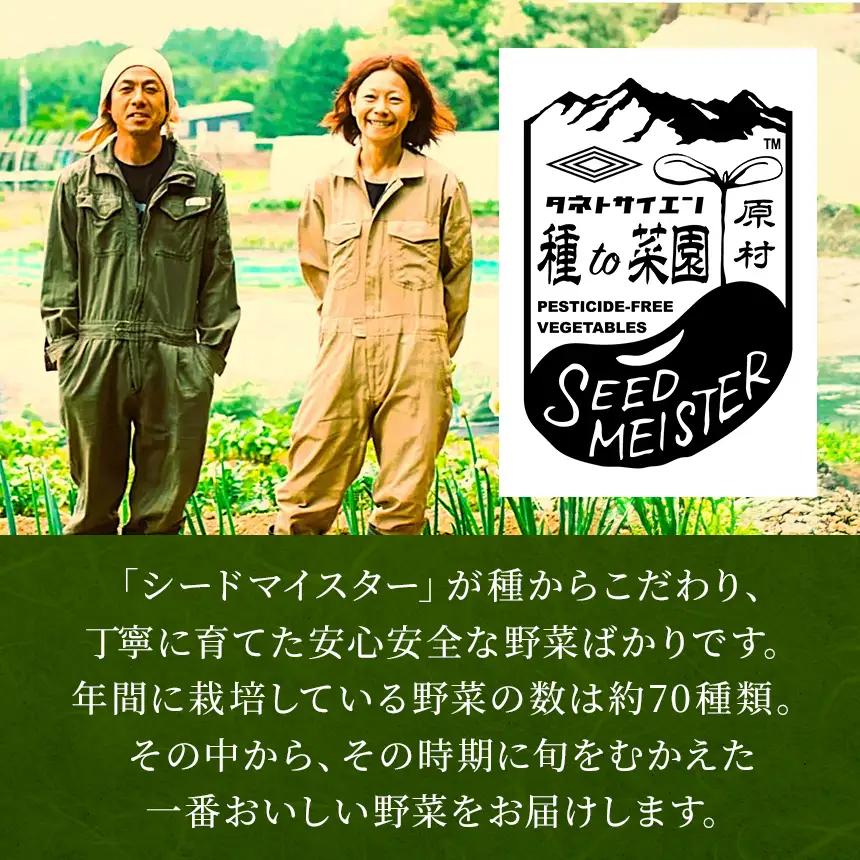 【栽培期間中農薬不使用・無化学肥料・無家畜性肥料で育てた】 朝採り とうもろこし 約4kg ( 10～15本 )【2026年7月下旬～発送】