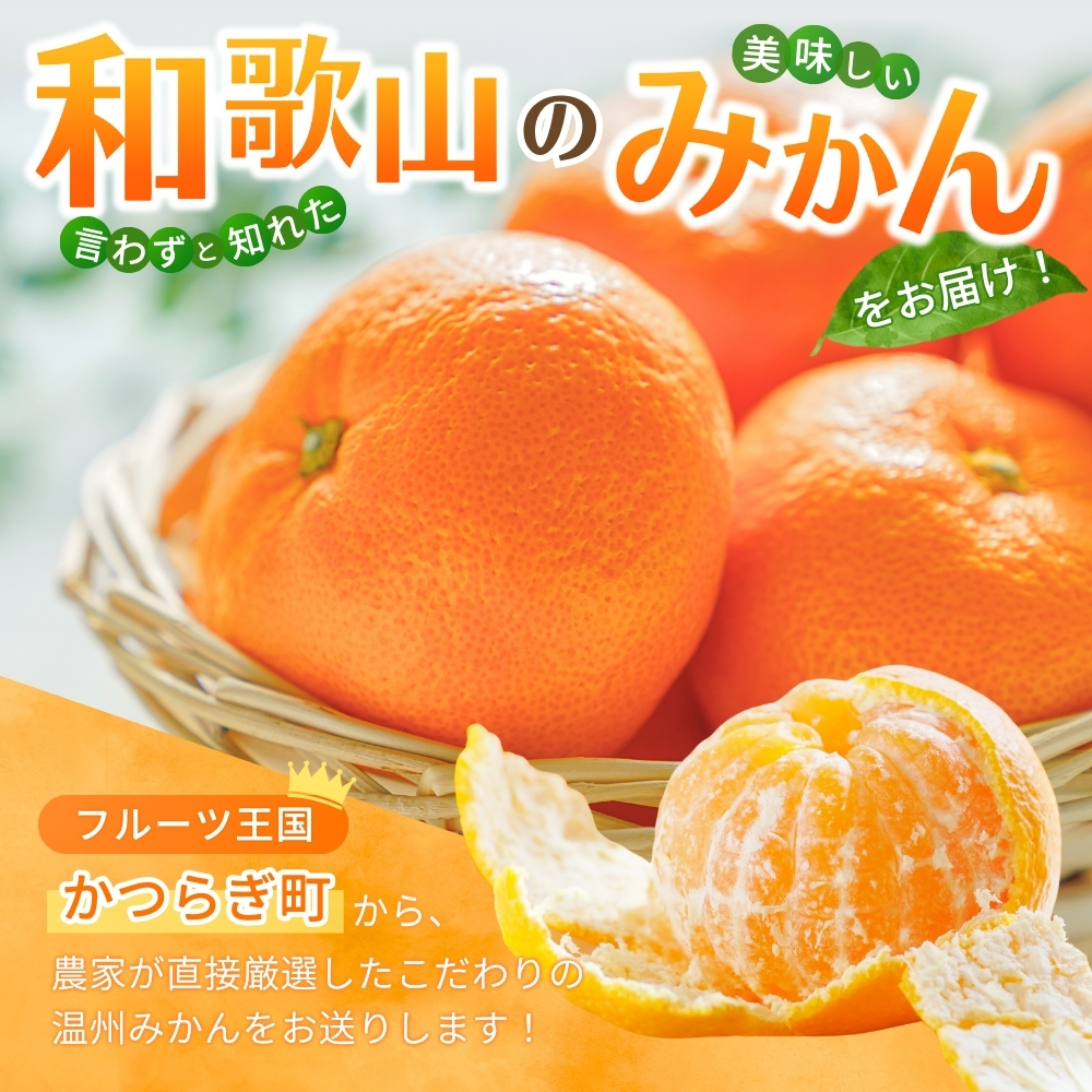 【先行予約】 和歌山県産温州みかん約5kg（約40個～60個）秀品　2025年11月初旬頃から2026年1月中旬頃順次発送予定【kgr032】