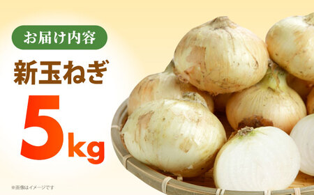 【先行予約】 新玉ねぎ 5kg 【吉祥】[HDG015]