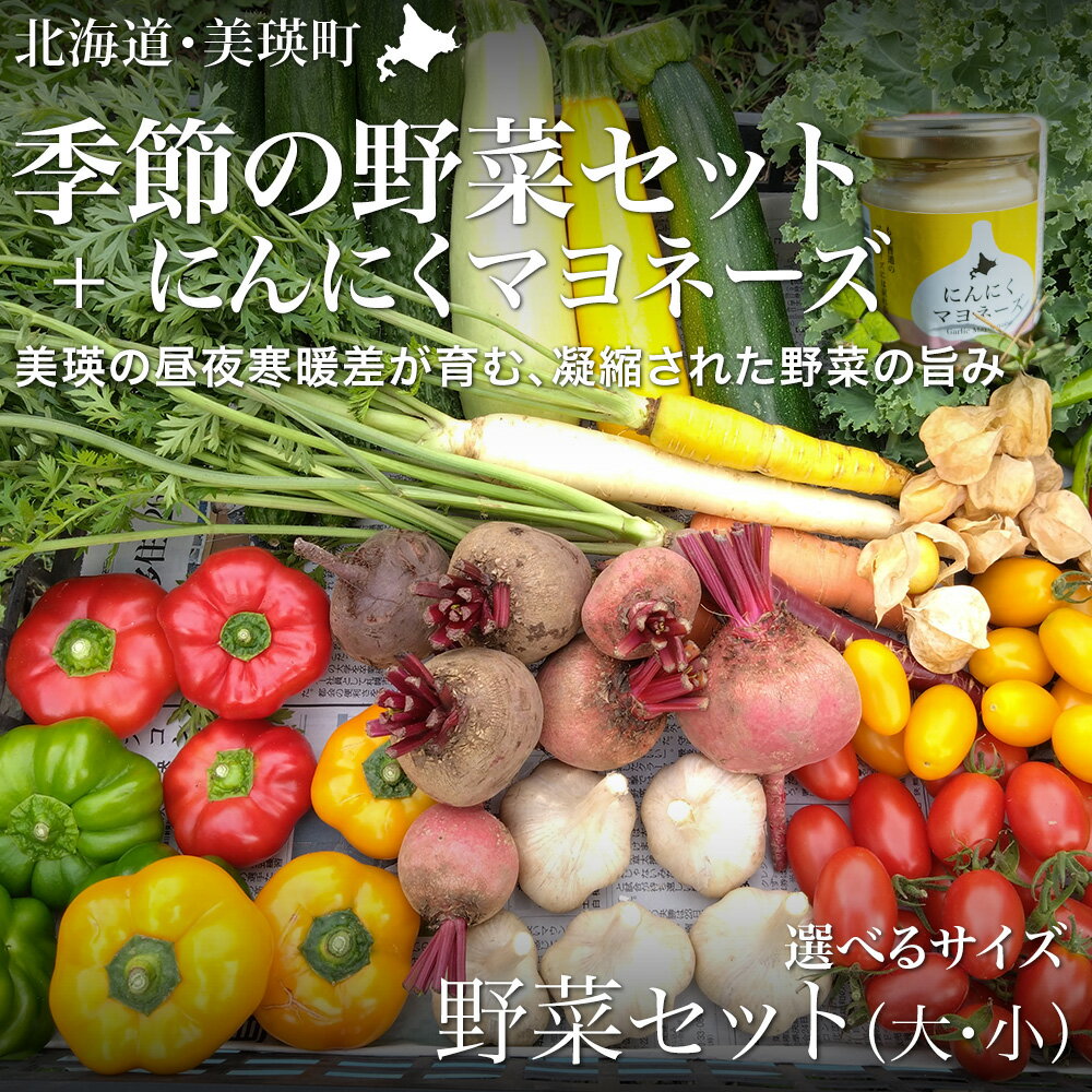 【ふるさと納税】季節の野菜セット【大・小】＆にんにくマヨネーズ あらいふぁーむ | 野菜 セット 詰め合わせ 旬野菜 美瑛産野菜 無農薬 多品種野菜 北海道 美瑛 美瑛町 北海道産 美瑛産 にんにく ニンニク マヨネーズ 調味料 ガーリック ドレッシング