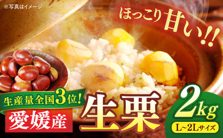 生栗 2kg【9月上旬より順次発送】栗 [AGBN043]