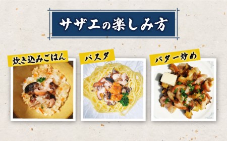 対馬産 活サザエ 刺身 100g×2本 [WAA008] さざえ 貝