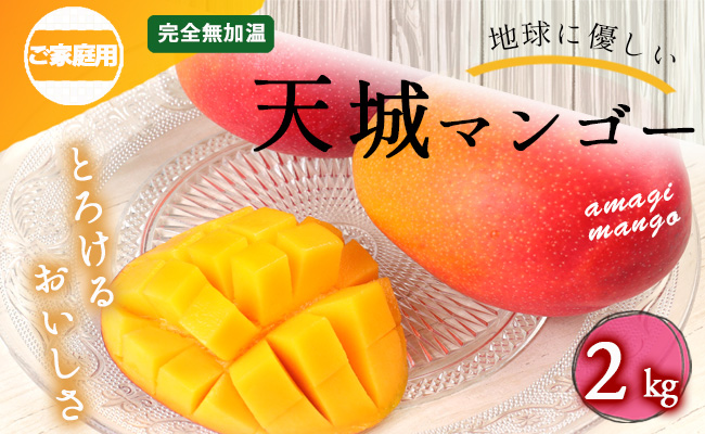 【2024年発送】徳之島 天城町産 完全無加温 完熟 マンゴー 家庭用 2kg