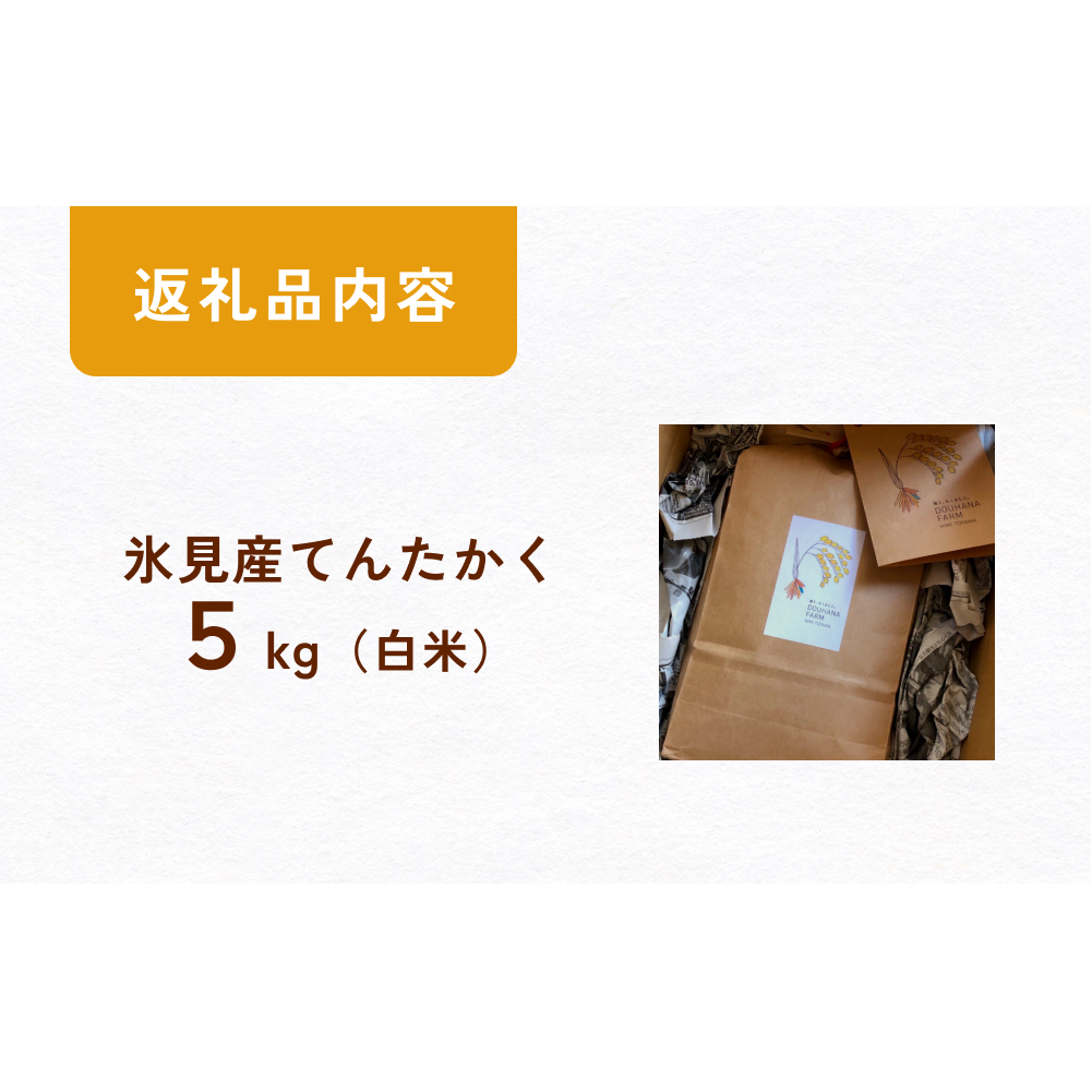 令和6年産 富山県氷見産 てんたかく白米 5kg 富山県 氷見市 米 てんたかく_イメージ5