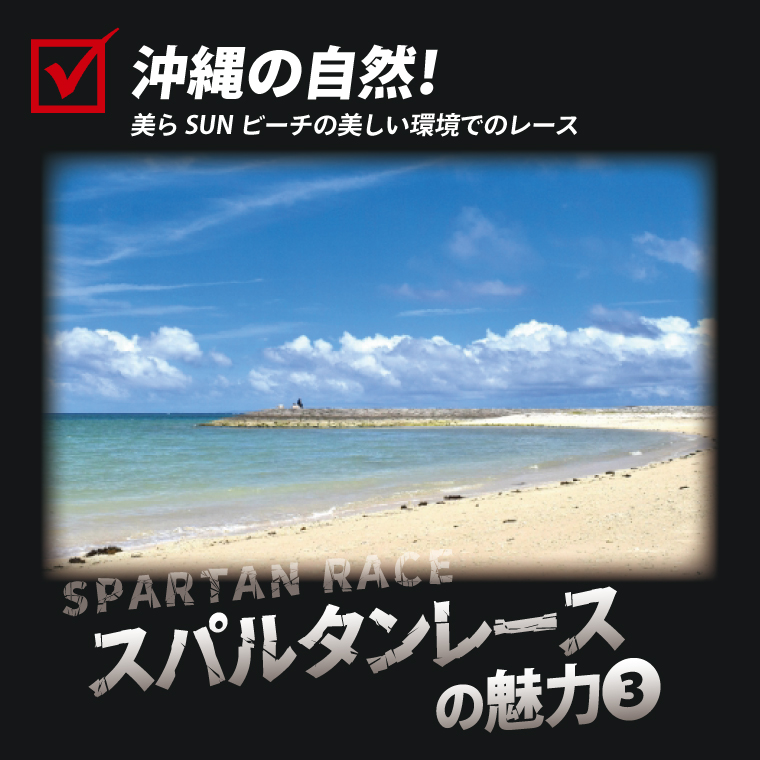 スパルタンレース沖縄2025参加チケット【SPRINT_OPEN】大人1名様｜レース 障害物レース スパルタン スパルタンレース チケット 体験チケット 体験 健康 ランニング トレーニング 沖縄県 