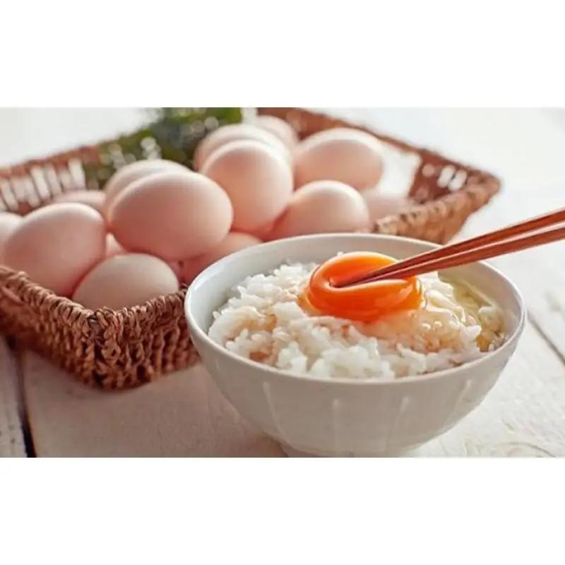 卵 鳥骨鶏卵 10個 プリン 5個 セット お菓子 卵