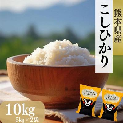 ふるさと納税 阿蘇市 熊本県阿蘇産コシヒカリ 10kg(5kg×2袋)(阿蘇市)