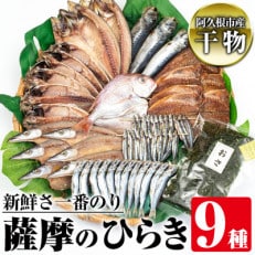 鹿児島県阿久根市産干物!新鮮さ一番のり薩摩のひらきセット(9種) 【川本商店】a-26-11