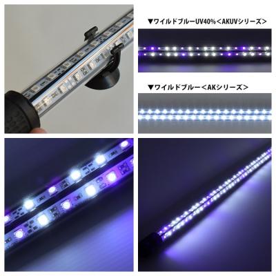 ふるさと納税 小牧市 スリム&高耐久!金龍を美しく、UV-Aチップ配合の水中LED|AK-120UV-EX[172C15] |  | 02