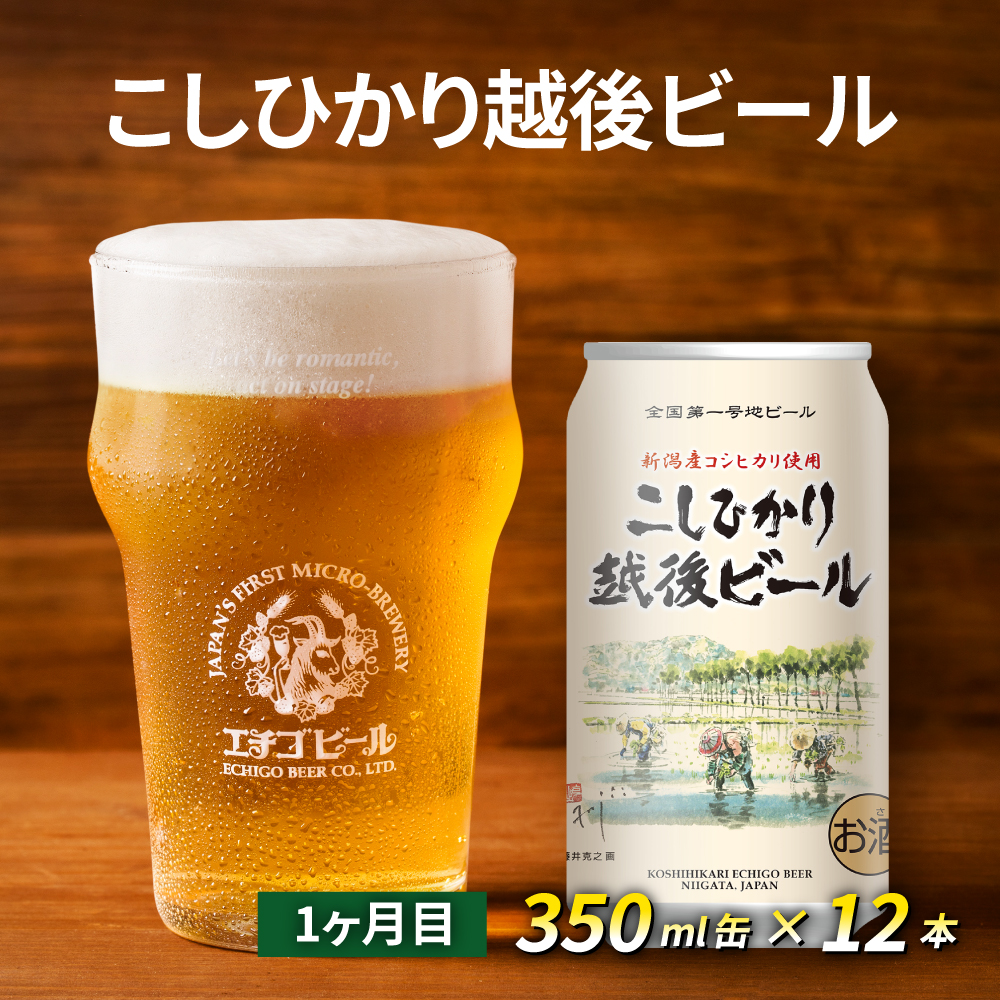 【定期便2ヶ月】エチゴビール【1ヶ月目】こしひかり越後ビール350ml缶×12本【2ヶ月目】プレミアムレッドエール350ml缶×12本 地ビール ビール 全国第一号 クラフトビール 350ml 12本