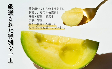 メロン 定期便 12ヶ月 クラウンメロン 1玉 1.5kg前後 上 山等級 特大玉 メロン 高級 山 青肉 青肉メロン マスクメロン フルーツ 果物 高級品 産地直送 デザート おやつ 旬 季節のフル