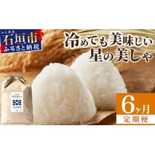 【定期便６回】6ヶ月連続お届け 石垣島産 星の美しゃ（ほしのかいしゃ）30kg（5kg×6回）MK-7