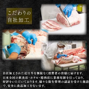 近江牛 サーロインステーキ 400g 冷凍 ( 和牛 近江牛 ブランド牛 近江牛 和牛 近江牛 三大和牛 近江牛 牛肉 滋賀県 竜王 和牛 近江牛 冷凍 贈り物 和牛 近江牛 ギフト 和牛 近江牛 プ