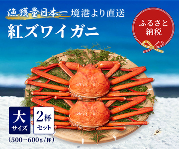 Y277 【蟹セレブ】紅ズワイガニ　大2杯セット（500～600g×2）        
