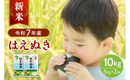 【令和7年産米】2025年11月下旬発送 はえぬき10kg（5kg×2袋）山形県産 【JAさがえ西村山】