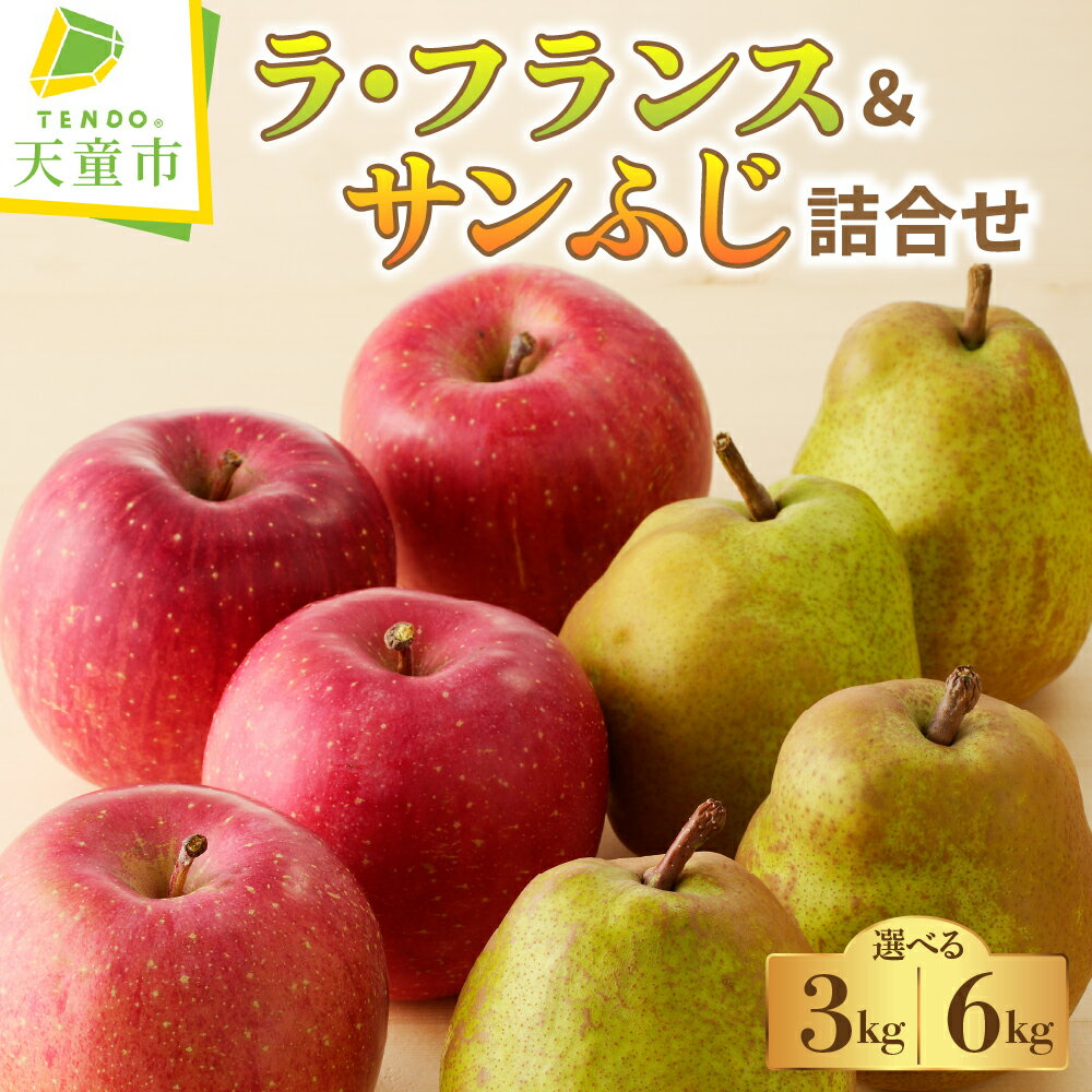 【ふるさと納税】 ラ・フランス & サンふじ 詰合せ 選べる 3kg 6kg ラフランス 洋梨 ふじ りんご 果物 フルーツ セット 秀 のし 贈答 ギフト プレゼント おすそ分け お取り寄せ 旬 秋 冬 期間限定 産地直送 送料無料 先行予約 【 山形県 天童市 】