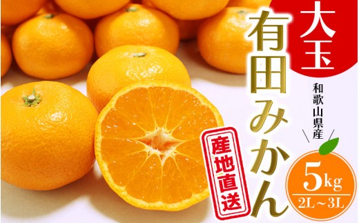 
                  ＼ みかんの名産地 和歌山県産／ 農家直送 大玉 有田みかん 5kg （2L～3L） ひとつひとつ手選別で厳選【2025年11月下旬～1月中旬ごろに順次発送予定】 | みかん フルーツ 果物 くだもの 有田みかん 蜜柑 柑橘【hdm001-1A】
                