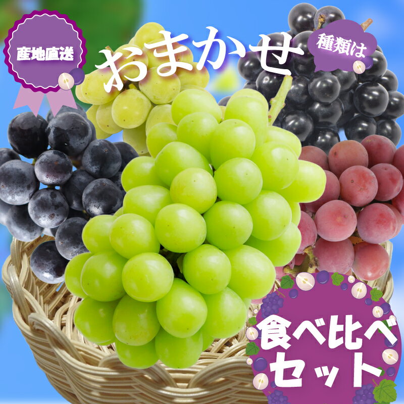 【ふるさと納税】 【先行予約】 2026年発送 旬のぶどう食べ比べセット シャインマスカット 巨峰 ベリーA 翠峰 クイーンニーナ ぶどう 容量 お試し 旬 果物 新鮮産直 果物 くだもの フルーツ 産地直送 ご家庭 家庭用 贈答 人気 ギフト 贈答 福岡県 福岡 川崎町