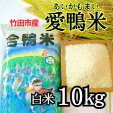 竹田市産 愛鴨米 白米 10kg