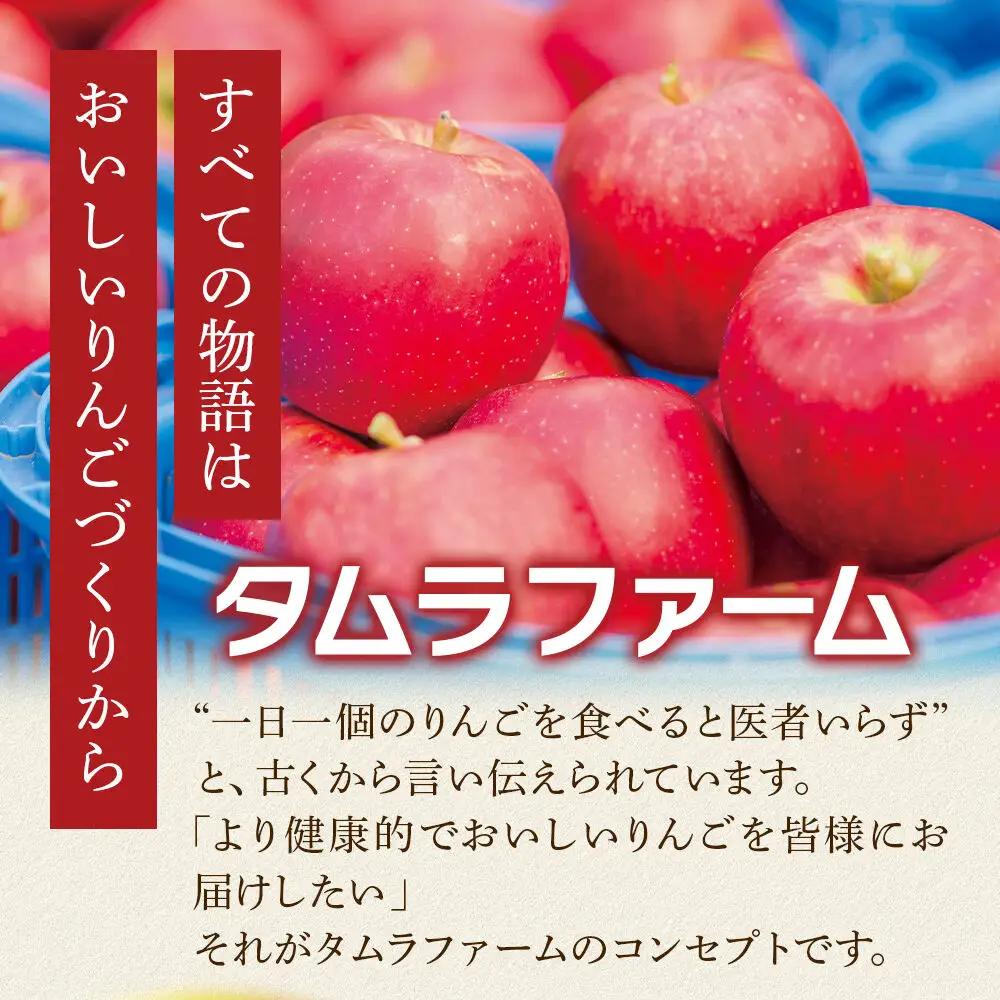 シードル タムラシードルセット TF-TSTB（BRUT・SEC 750ml×各1本 計2本） 青森県弘前市 タムラファーム