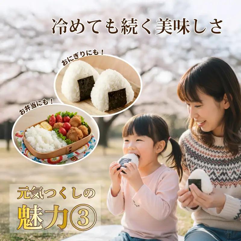 令和8年産新米予約 元気つくし 5kg お米 米 TJI