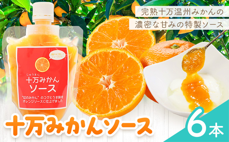 十万みかん ソース 170g 選べる 4本 6本 田野農園《30日以内に出荷予定(土日祝除く)》鹿児島県 さつま町 みかん 蜜柑 柑橘 果物 くだもの フルーツ ジューシー 送料無料